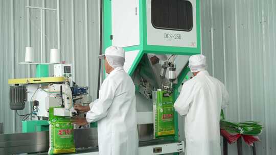 稻米大米生产加工流水线