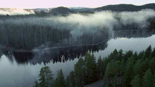 山间日出森林云雾景观