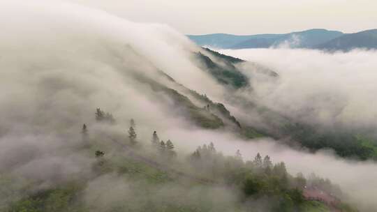 内蒙柴河望牛山赏心峰云海翻腾似仙境