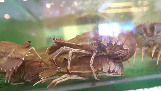 蟹虾扇贝海鱼海鲜大餐