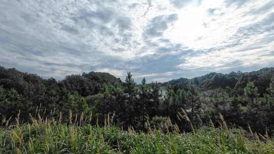 高铁窗外风景