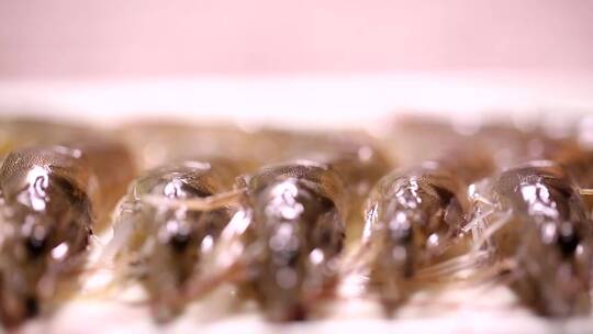 【镜头合集】新鲜的大虾海虾虾线