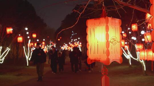 春节一群人在挂满红灯笼地路上游览视频素材模板下载