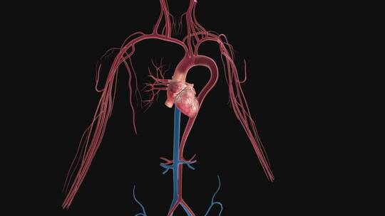 3d心脏动脉血管手术愈合血液循环动力动画