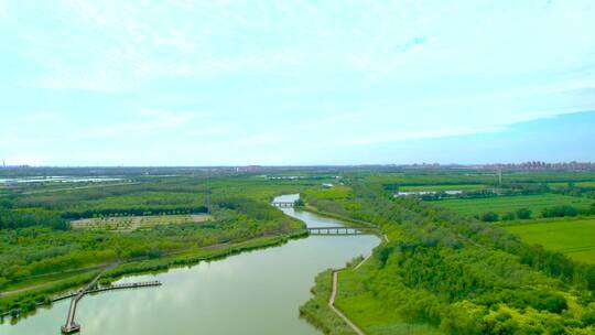 天津西青郊野公园湿地航拍
