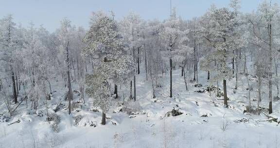 零下40度的低温航拍大兴安岭冰雪雾凇