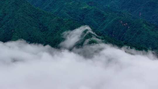 航拍森林云雾云海 秦岭山脉