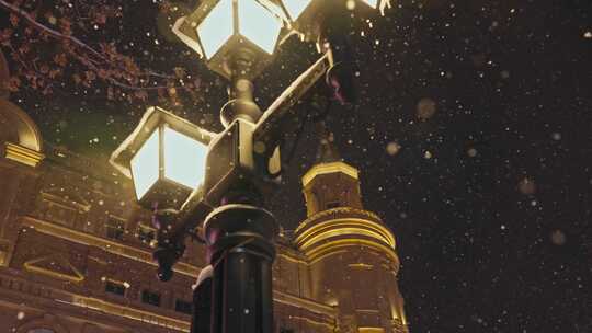 下雪的哈尔滨中央大街路灯视频素材模板下载