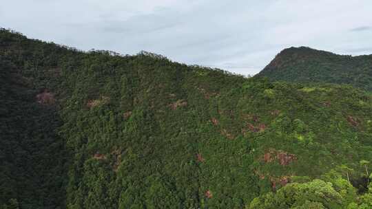 航拍中国福建武夷山美丽风景