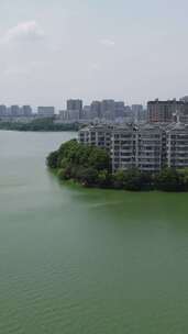 竖版航拍湖北鄂州东洋澜湖湿地公园