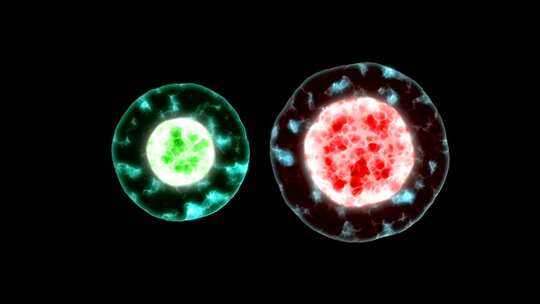 细胞对比展示素材