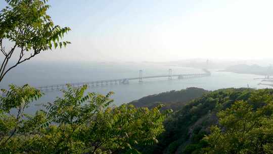 辽宁大连星海湾跨海大桥莲花山观景台视频素材模板下载