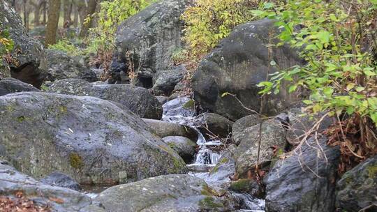 森林山泉溪水河流