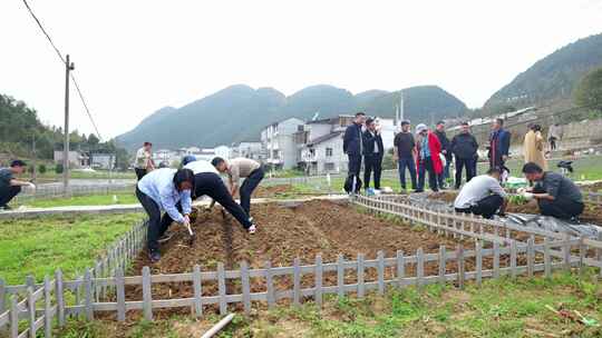 劳动空镜刨土锄地农场工人耕作劳作翻土