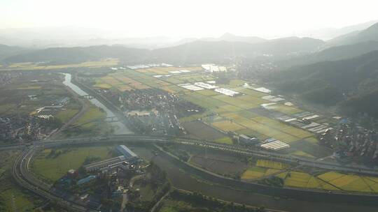 航拍杭州萧山地区农村稻田