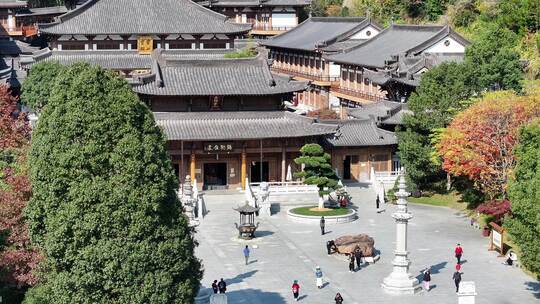 安福寺庙和银杏树航拍特写