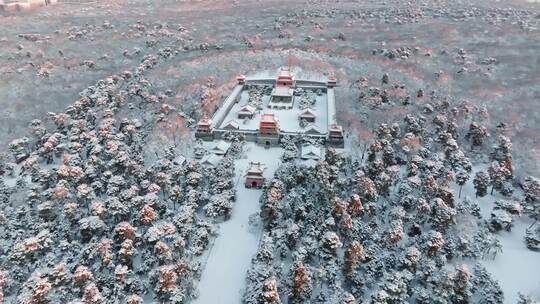 4K高清雾凇冰雪寒冷沈阳北陵公园雪景