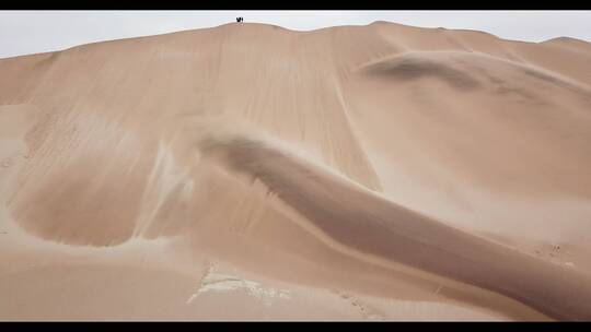 纳米布沙漠沙丘上的人视频素材模板下载