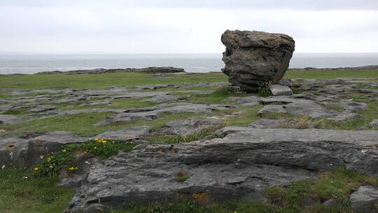 海岸上矗立的石灰岩