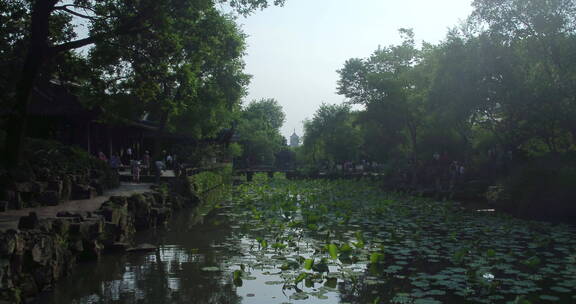 旅游景区 航拍苏州拙政园报恩寺塔夏河道 推