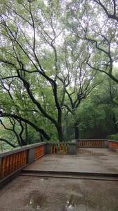 湖南衡阳回雁峰景区