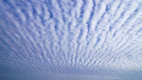 天空云层延时鱼鳞云透光高积云延时天气变化