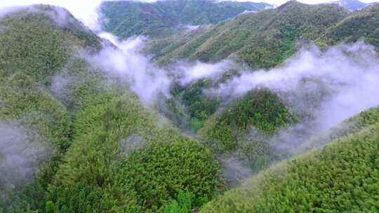 实拍雨后森林云雾缭绕 绿水青山 高山云海