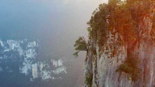 湖北恩施大峡谷旅游风景区岩石与岩石上的树