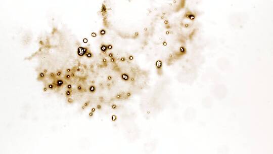 墨水墨迹墨滴晕染水墨元素 (106)视频素材模板下载