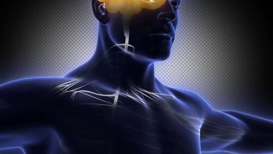 神经 康复 人体经络 大脑神经 人体中医视频素材模板下载