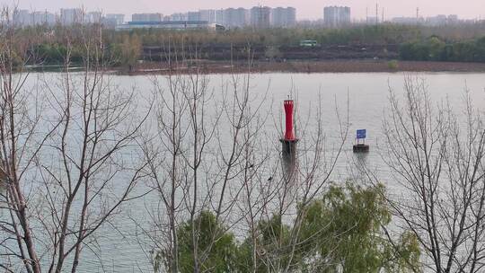 湖光渔家 生态湿地 塘口