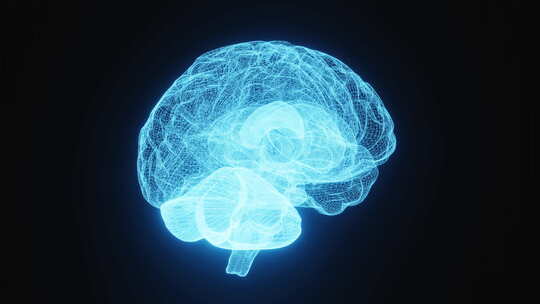 三维大脑和生命体征的统计数据神经学