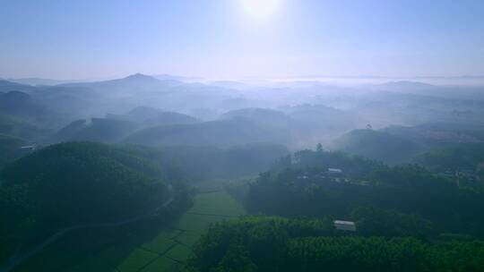 清晨日出阳光晨雾青山森林自然唯美风景航拍