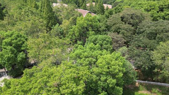 湖南长沙师范大学岳麓山航拍