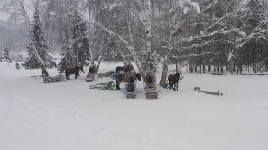 新疆 禾木 雪屋 航拍 冬季