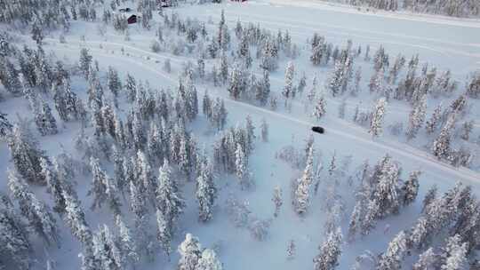 雪林公路上行驶的汽车