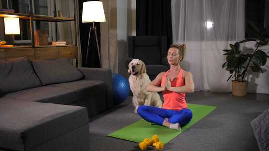 放松的女性与狗练习瑜伽莲花姿势视频素材模板下载