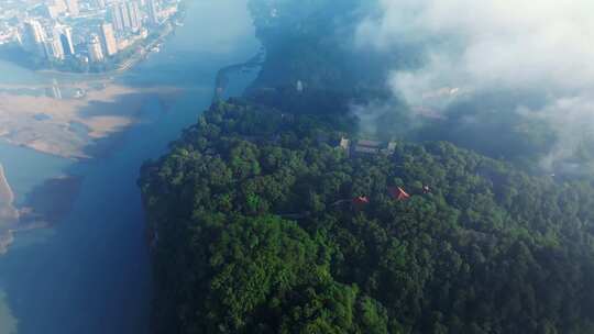 乐山大佛景区