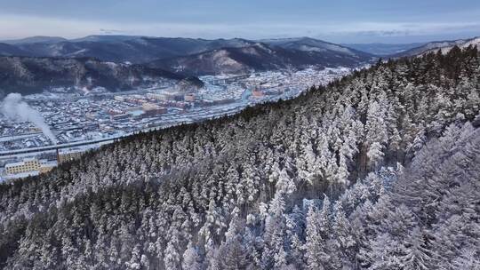 航拍东北下暴雪林海雪原威虎山