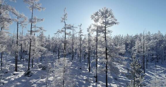 零下40多度的低温航拍大兴安岭冰雪雾凇