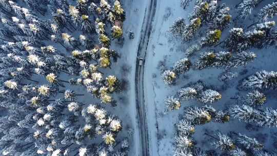 航拍汽车行驶在雪后的森林道路上