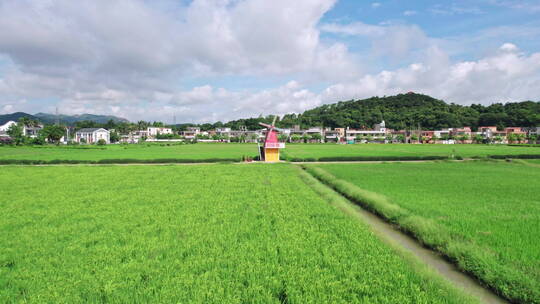 夏日里绿油油的稻田风车美丽的乡村田野航拍