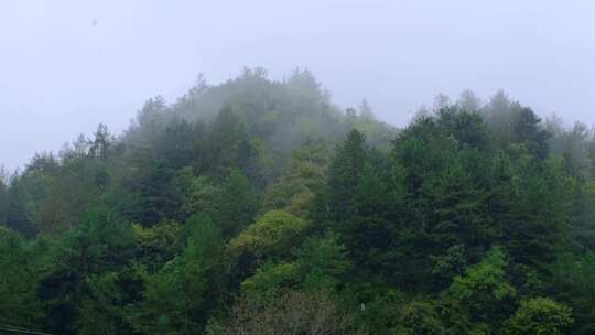 初秋雨中山脉云雾缭绕的绝美自然风光