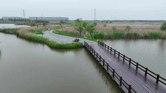 杭州湾湿地公园马拉松