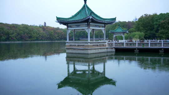 武汉东湖风景区碧潭观鱼