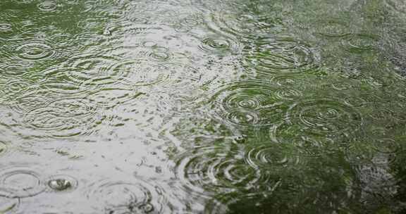 （慢镜）下雨天雨水落在湖面泛起涟漪