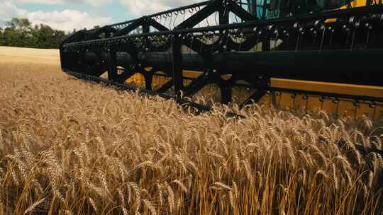 小麦水稻丰收农业种植收获视频素材模板下载