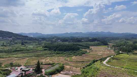 南方山川丘陵梯田农田航拍