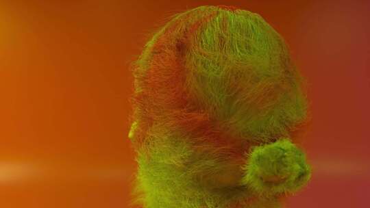 3d，毛茸茸的，生物，跳舞