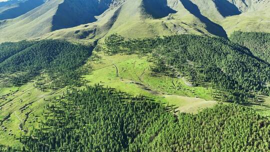 航拍原始森林高山草原风光